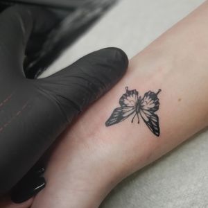 Small butterfly 