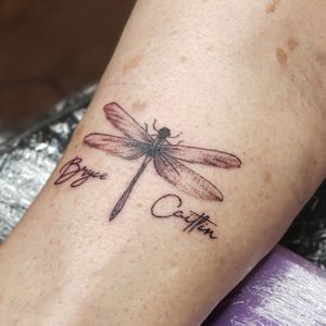 Small detail in a Dragon fly