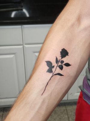 Rose silhouette/black rose