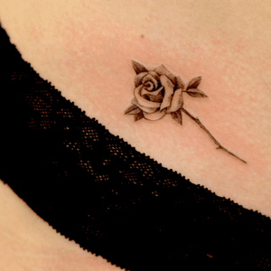 Small size black rose
