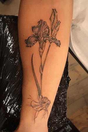 Iris piece done at Seven Foxes Tattoo