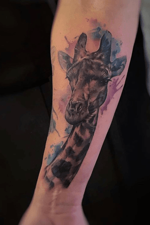 Watercolour giraffe done at Seven Foxes Tattoo