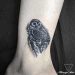 Пробовала себя в миниатюрах😹 Напишите ниже получилось или нет❓ 🦉 Model: @nataliakostinuk549  Done with @worldfamousink  Done in the studio @eoxtattoo ✍️Dm for appointment📨📬 • • • • • #eox #eoxtattoo #inked #tattoo  #tattooartist #uatattoo #tattooua #art #tattooed #tattoostudio #inkedup #bishoprotari #tattoogirl #brooklyntattoo #tattoobrooklyn #tattooqueens #nyctattooartist #nyctattoo #nyctattooshop #tattoonyc #worldfamousink #miniaturetattoos #miniaturetattoo #minimalistictattoo #owltattoo #owltattoos