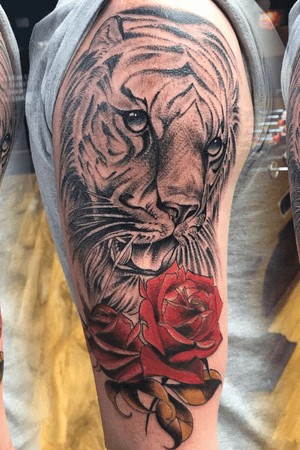 Dotwork tiger with neo traditional roses! 
