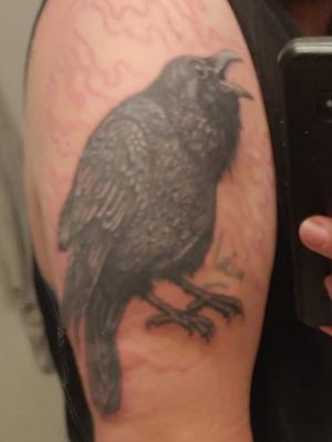 Odin Raven 2