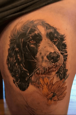 Customers beautiful dog, this is part of a larger piece we are starting done at Seven Foxes Tattoo