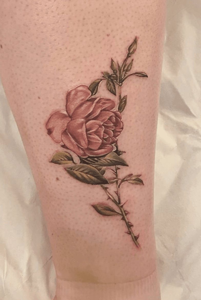 Vintage Rose Rose Petals Falling Rose Border Rose Tattoo Vintage  Floral Red Rose 825865  Free Icon Library