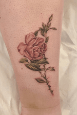 Vintage rose done at Seven Foxes Tattoo