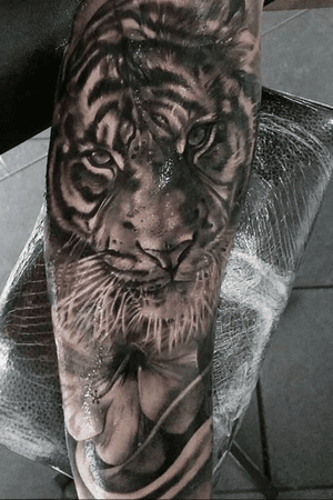 Tiger done at Seven Foxes Tattoo