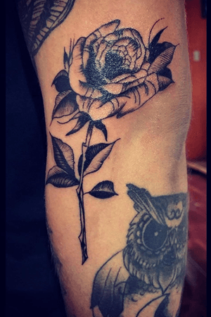 #blackandgrey #flower #rosa #tattooartist #tattoochile 