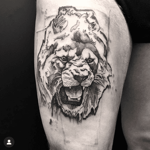 Sketching Lion #lion #tattoolion #sketchinglion #sketchtattoo #tattoosketch #watercolor 