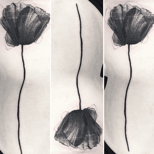 Blackwork flowers  #flowers #blackwork #sketching #sketchingflower #flower 