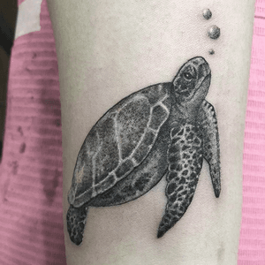 Mini turtle 