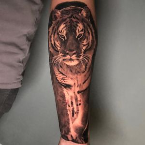 Tiger sleeve tattoo in progress, London, UK | #blackandgreytattoos #realistictattoos  #tigertattoos #sleevetattoos