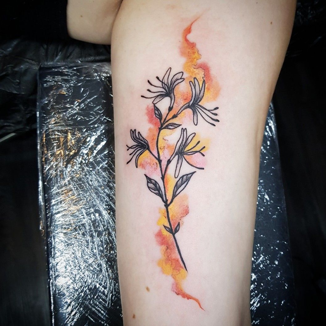 15 Best and unforgettable color honeysuckle flower tattoo designs