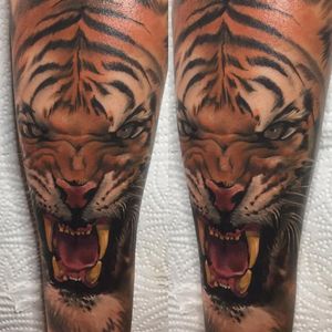 Realistic tiger by Pawel at High Fever Tattoo Oslo 