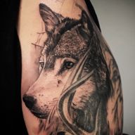 #tattoo #tatts #berlin #deer #deertattoo #armtattoo #inked #tattooartwork #blackandgrey #bestrealistictattoos #tattooedgirl #berlintattoo #paris #paristattoo #inkig #cooltattoos #berlintattooers #tattoolife #cheyennepen #d_world_of_ink #tattooaddict #tattoolife #berlintattooartist #tattoo_art_worldwide #cerf #cerftattoo #blackwork #blackworkers #kwadron #intenzeink