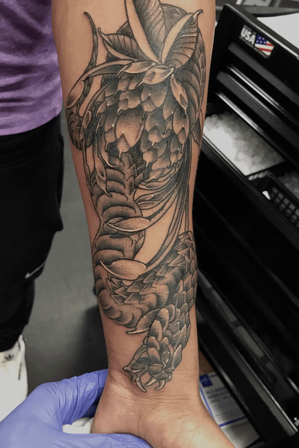 Tattoo from Timeless Ink Tattoo Studios