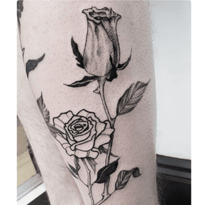 @blank.in.k
blackwork and whip shading