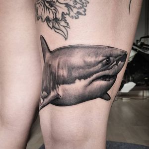 Shark tattoo.