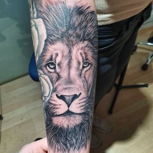 Lion tattoo.