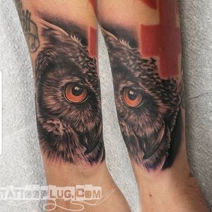 Realistic Owl Tattoo - Black and Grey
