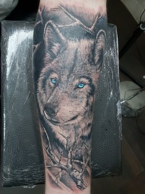 Realistic forearm wolf and forest as a background!