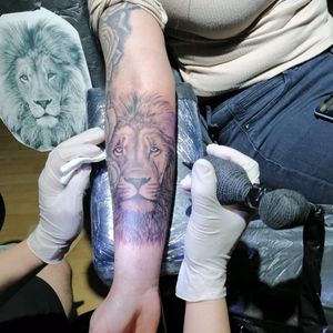 Lion tattoo, in progress.