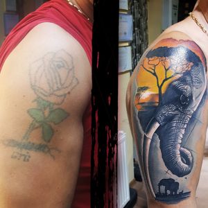 #tattoo #cover #animal #elephant #color #colour #wild 