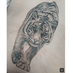 @blank.in.k
realistic tiger on back