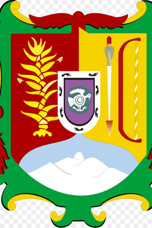 Flag of nyarit 