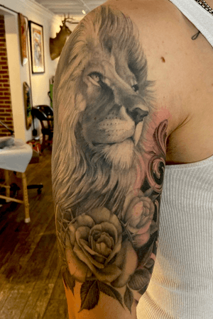 healed lion and rose on Anthony 