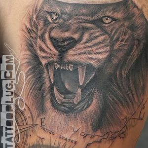 Realistic Lion Tattoo