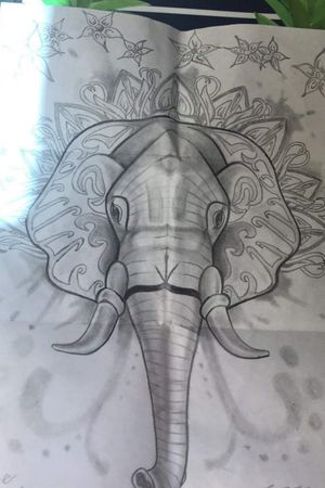 Elephant Concept Heart
