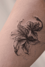 Bauhinia fineline botanical tattoo