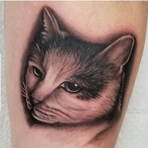 Realistoc Cat Portrait - Black and Grey