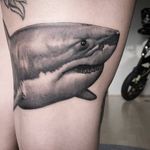 Shark tattoo.