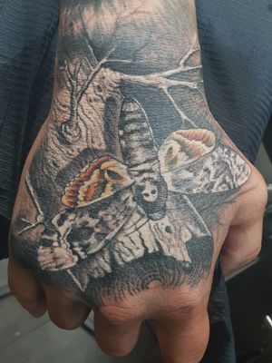 Realistic moth on a hand