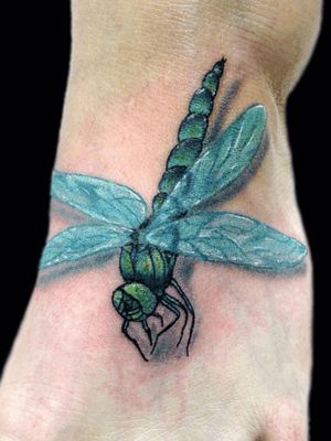 Realistic dragonfly by Greg!