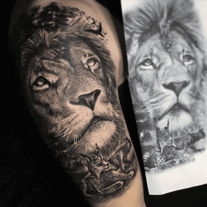 #liontattoo #klodidoda_tattooist #stuttgart 