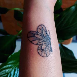 Little Butterfly Tattoo ...#ink #inked #inkedgirl #inkedlife #inkedup #inkedwoman #tattoogirl #tattoowoman #femaletattoo #femaletattooartist #femaleartist #womensempowerment #art #artwork #freestyle #butterflytattoo #girlspower #desing #desingtattoo #proyect #work #ensenada #bajacalifornia #mexico 