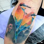 Work in progress color tattoo birds uccellini colorati