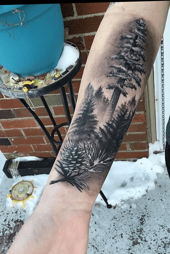 Nautilus Tattoo  Giant Sequoia Tree by tattoosbyjoelle     nautilustattoo nautilusct cttattoos cttattooartist cttattoo  connecticuttattooshop connecticut hartford newington tattoo ecsu  ccsu scsu tattooing berlinturnpike 