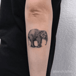 #tattooelefant #smalltattoos #realistictattoo 