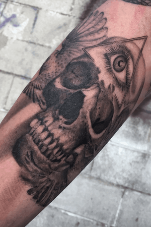 Skull & all-seeing-eye surrounded by two cardinals, inner forearm. One session, 6-7 hours made in 2017.