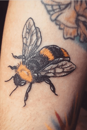 🖤🐝💛🥰 #bee #buzz #love #fluffy