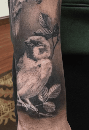Sparrow that’s part of a nature sleeve. I love micro / detail elements within large scale work. 