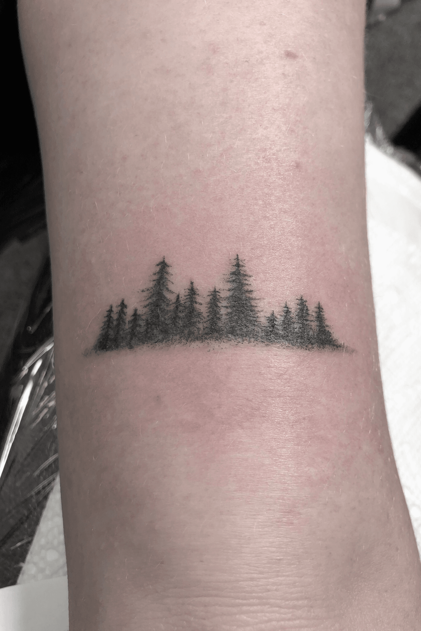 Pine Needle Pokes Tattoo