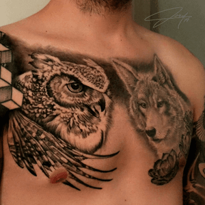Fresh owl after one 8-9 hour session with healed coyote. 