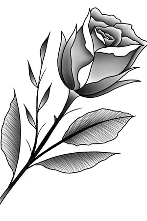 Rose #rose #rosetattoo #blackandgrey #blackandgreytattoo #linework #lineworktattoo 